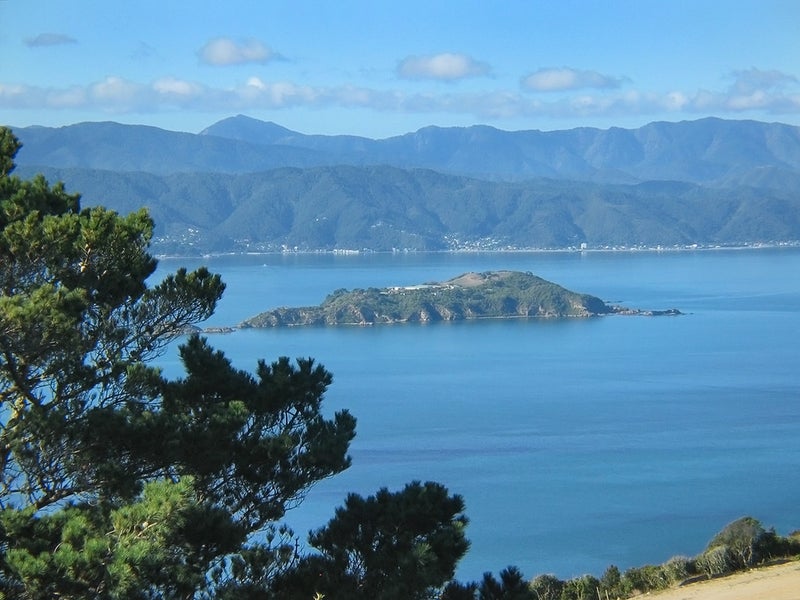 34 Kenmore Street, Newlands, Wellington - Carousel 2
