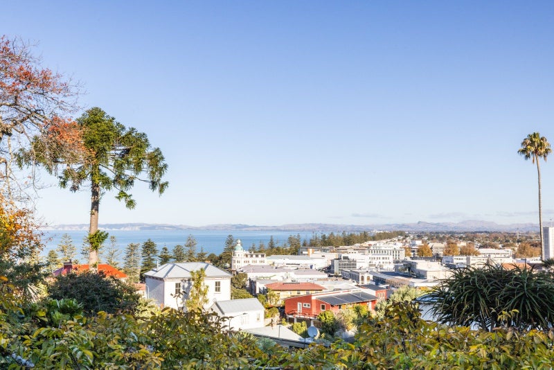 24 Brewster Street, Bluff Hill, Napier - Carousel 2