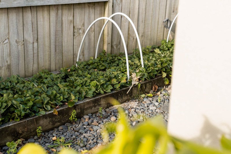 14 Waterford Park Drive, Papamoa Beach, Papamoa - Carousel 24