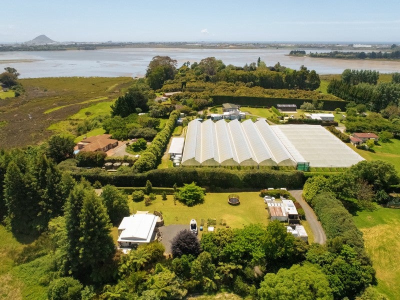 21 Asher Road, Welcome Bay, Tauranga - Carousel 2