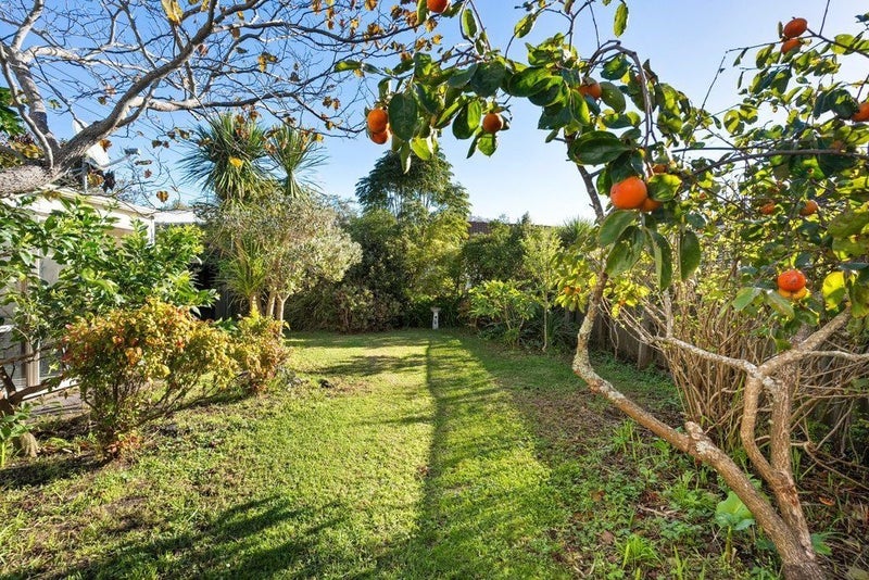 13 Wicklow Road, Narrow Neck, Auckland - Carousel 13