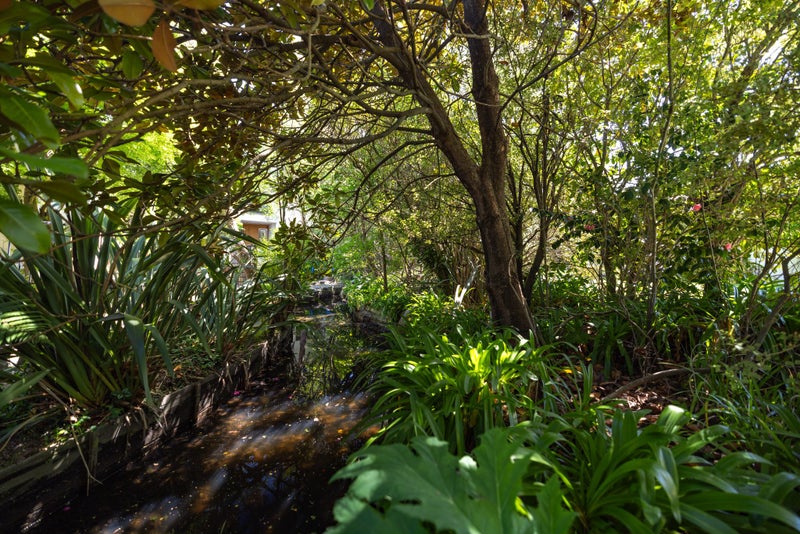 117 Hamilton Avenue, Ilam, Christchurch - Carousel 29