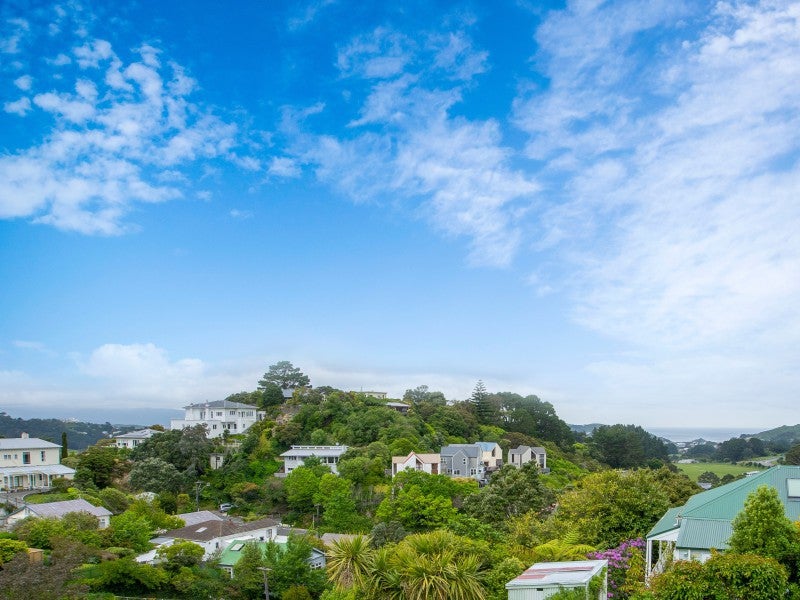 19 Moffitt Street, Vogeltown, Wellington - Carousel 16