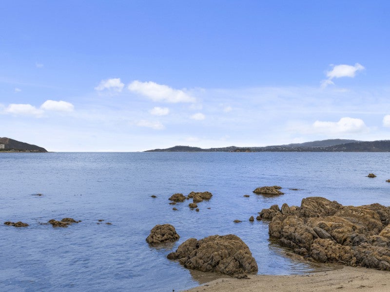 607A Marine Drive, Days Bay, Lower Hutt - Carousel 1