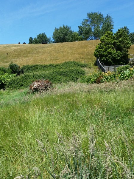 6 Montrose Street, Kaiti, Gisborne - Carousel 3