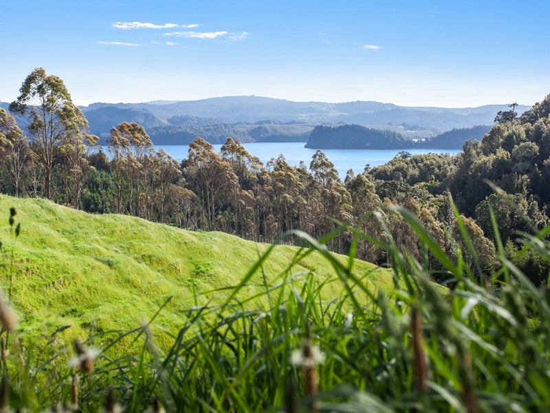 706 Manawahe Road, Rotoma - Carousel 2