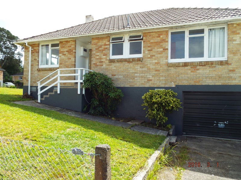 1 Tainui Street, Meremere - Carousel 1