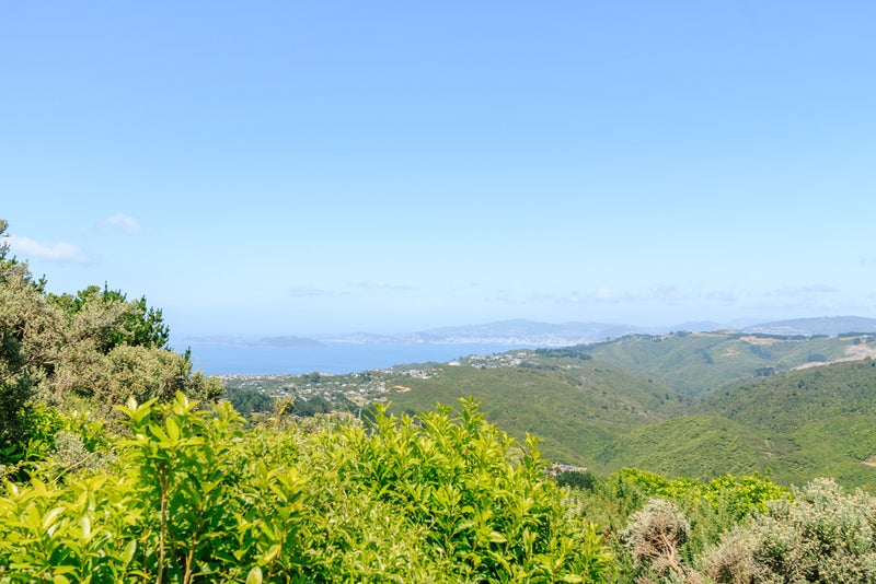 340 Normandale Road, Normandale, Lower Hutt - Carousel 2