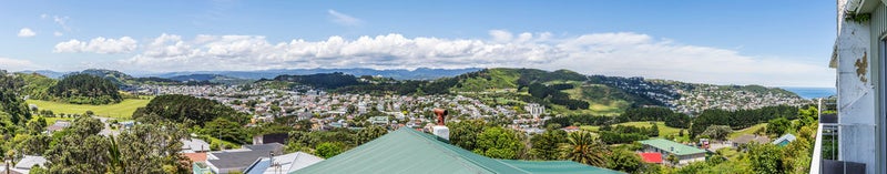 19 Farnham Street, Mornington, Wellington - Carousel 19