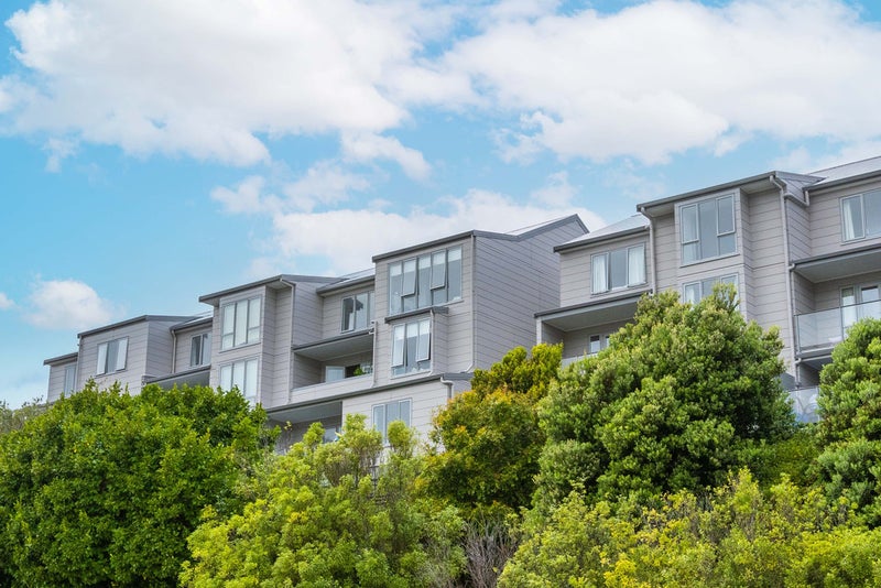 17/6 Brown Street, Mount Cook, Wellington - Carousel 1