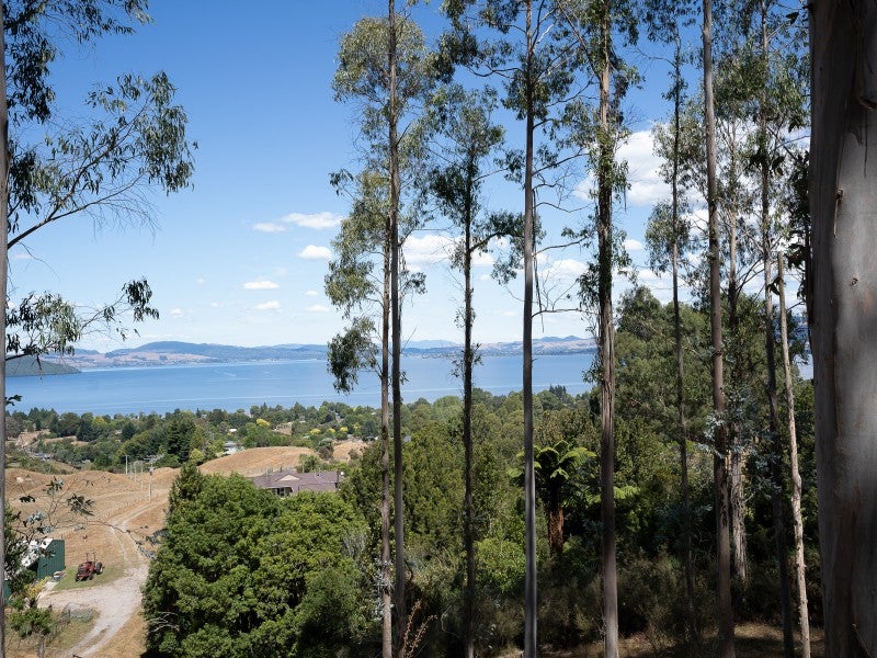 97 Turner Road, Hamurana - Carousel 16