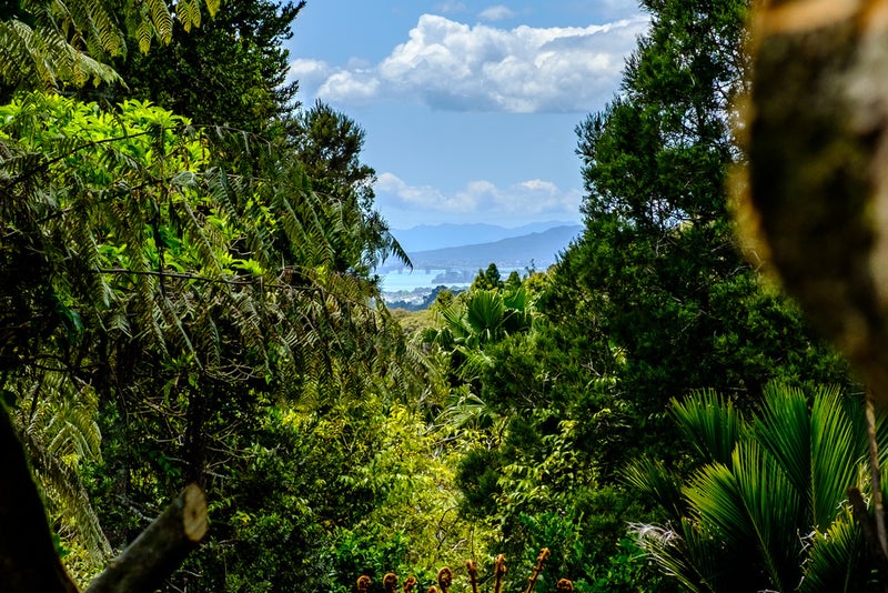 118 Opanuku Road, Henderson Valley, Auckland - Carousel 1