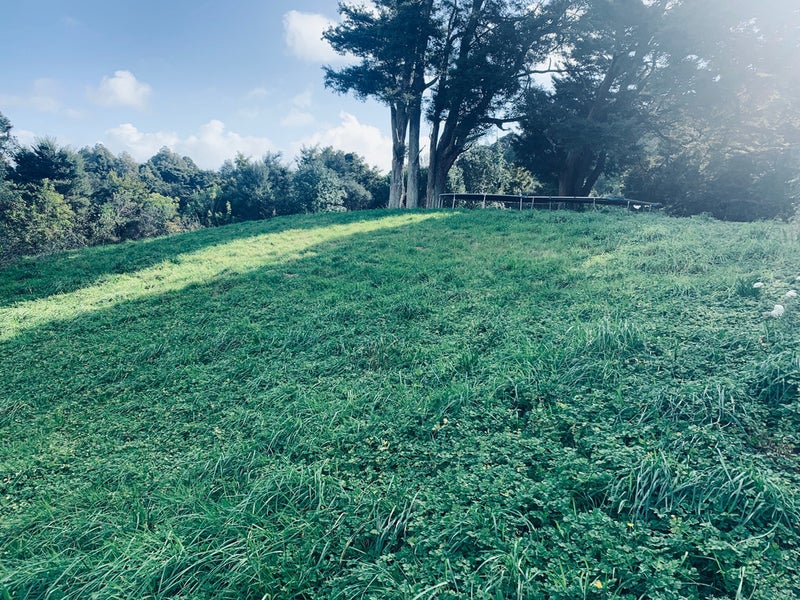 18 Tuakura Way, The Gardens, Auckland - Carousel 2