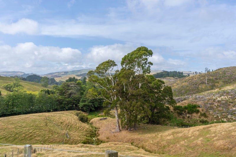 287 West Road, Masterton - Carousel 26