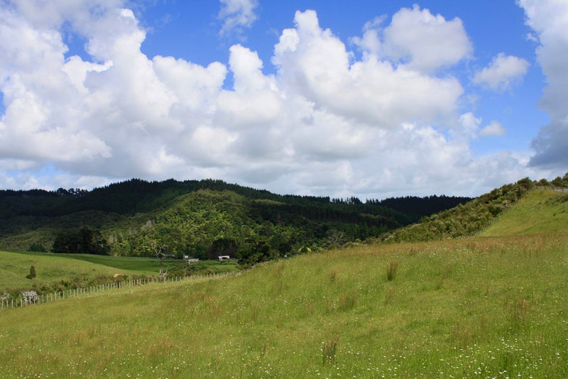 70 Haul Road, Kaukapakapa - Carousel 19