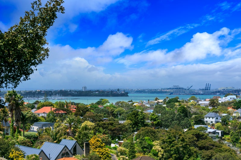 1 Bush View Lane, Northcote Point, Auckland - Carousel 1