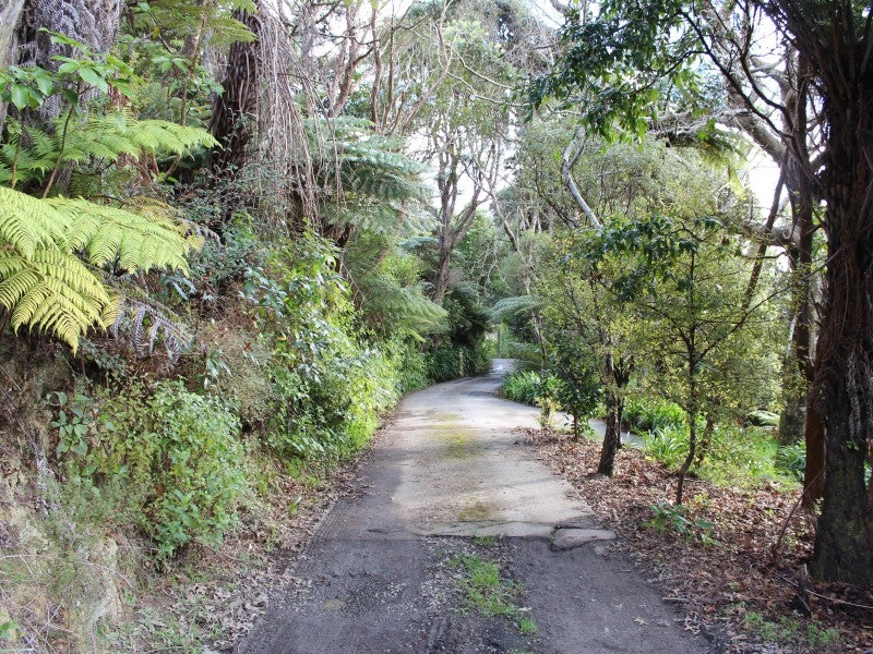 113 Seddon Street, Naenae, Lower Hutt - Carousel 10