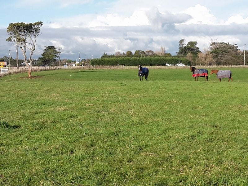 0 Rongotea Rd, Rongotea - Carousel 2