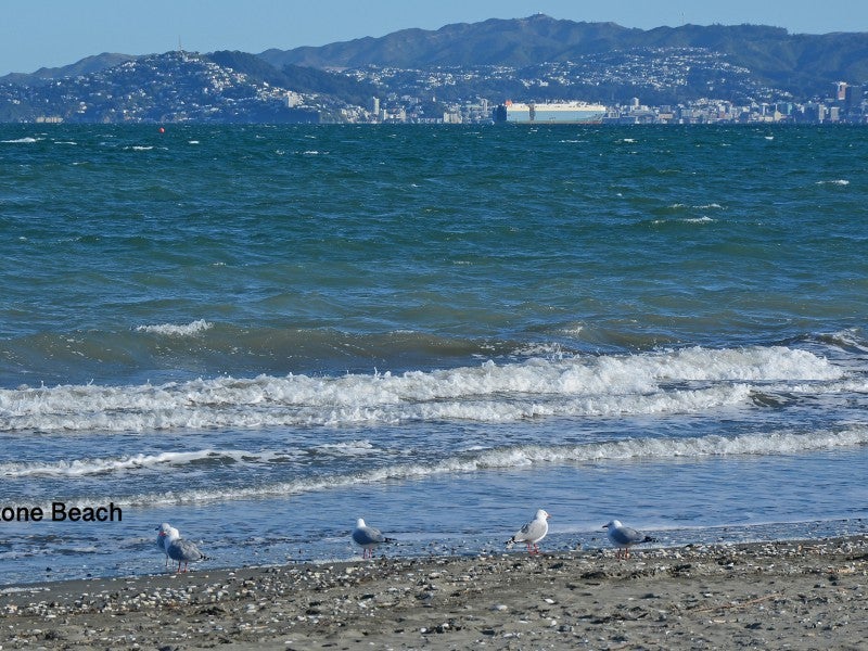 26 Britannia Street, Petone, Lower Hutt - Carousel 20