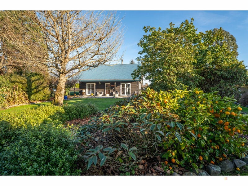 100 Oak Street, Orari - Carousel 1