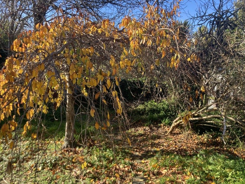 117 Wallace Street, Mount Cook, Wellington - Carousel 9