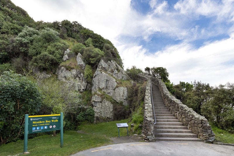 20 Ngaio Street, Rarangi - Carousel 39