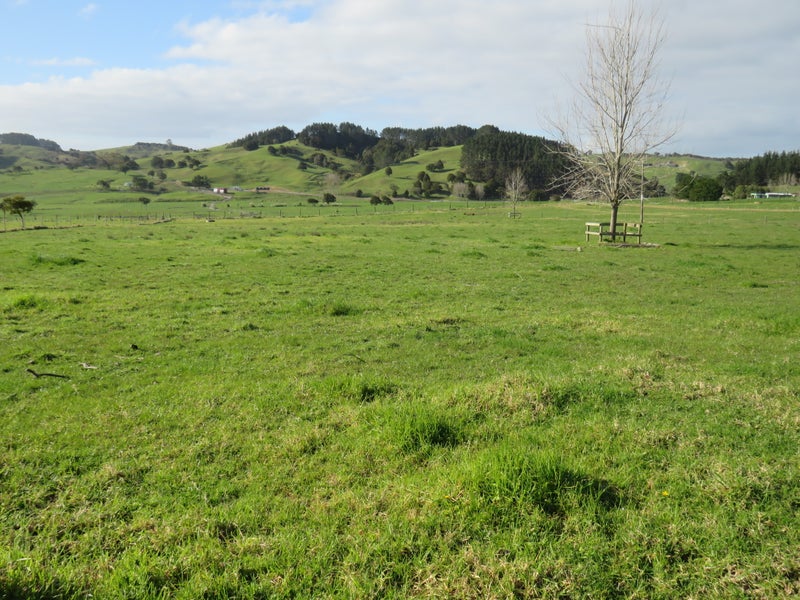 0 Ovens Rd, Matakohe - Carousel 2