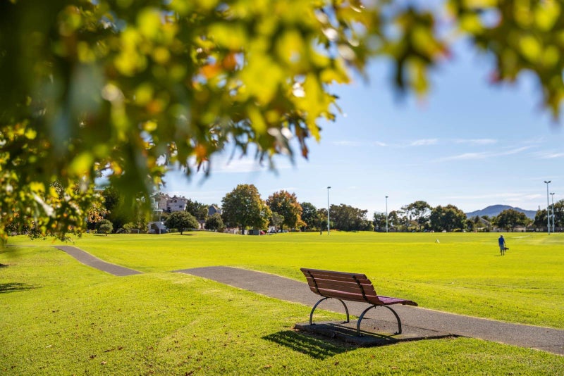 2/5 Baddeley Avenue, Kohimarama, Auckland - Carousel 24