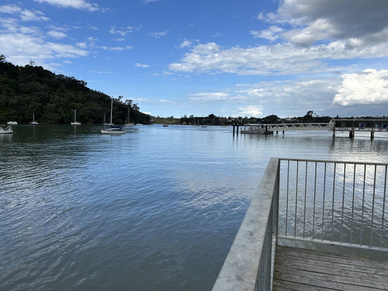 14 David Carnegie Road, Hobsonville, Auckland - Carousel 25