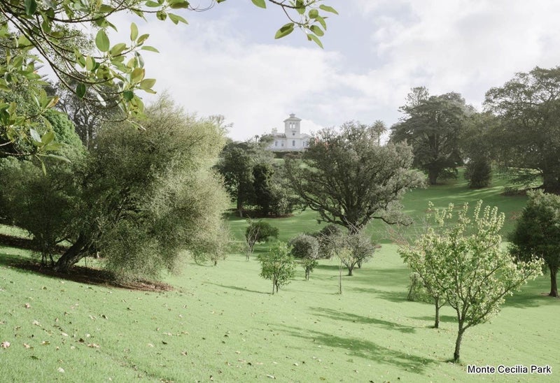 7 Mah Lane, Hillsborough, Auckland - Carousel 16