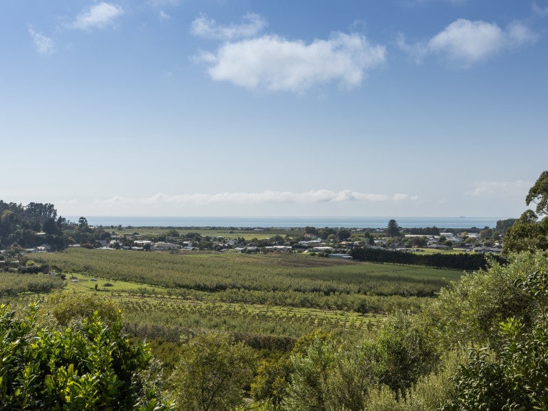87 Hill Road, Bay View, Napier - Carousel 2