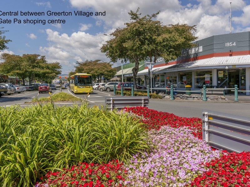 87 Greerton Road, Gate Pa, Tauranga - Carousel 18