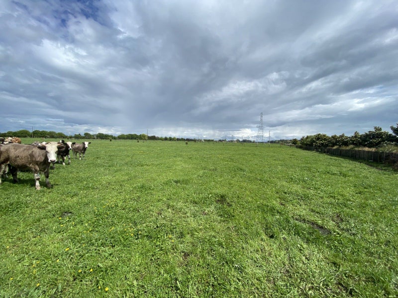 104 Taplin Road, Tamahere, Hamilton - Carousel 7