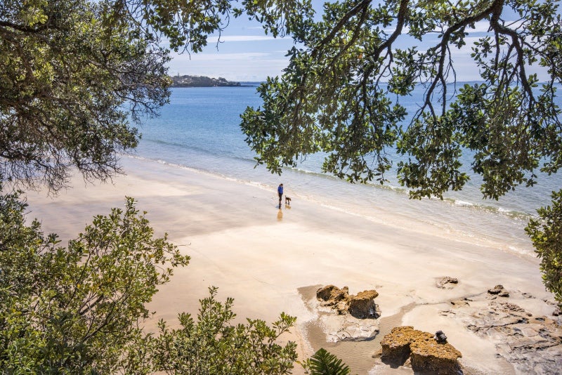 7A Clifton Road, Hauraki, Auckland - Carousel 28