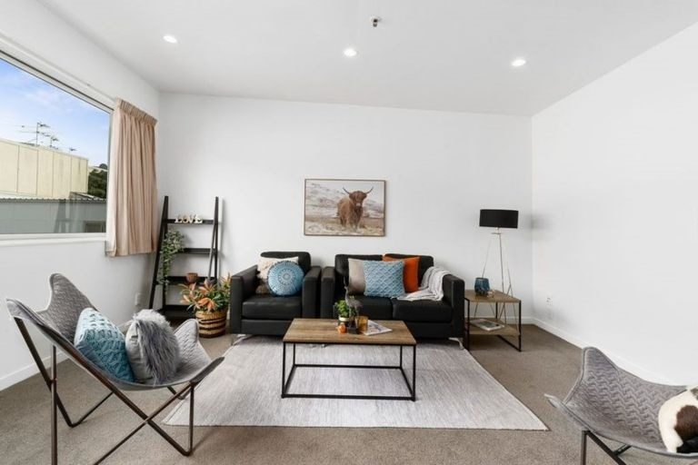 13/30 Hanson Street, Mount Cook, Wellington - Carousel 2