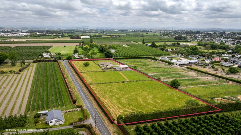 1316 Southland Road, Longlands, Hastings - Carousel 36