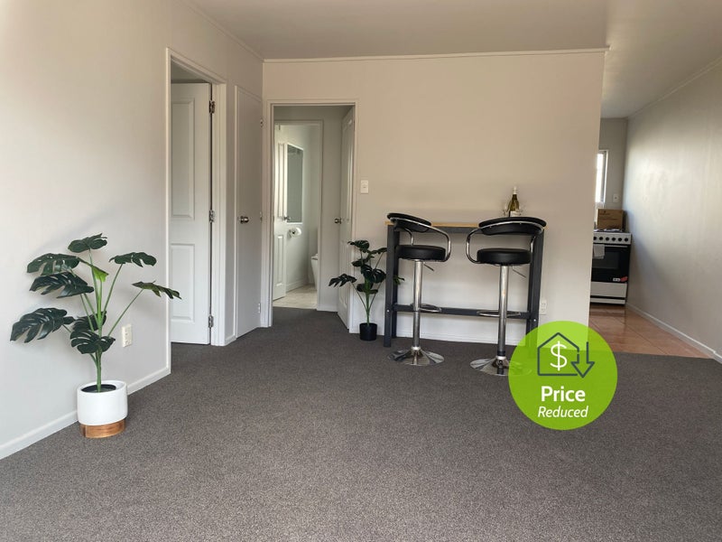 2/3 MANCHESTER ST, Petone, Lower Hutt - Carousel 1