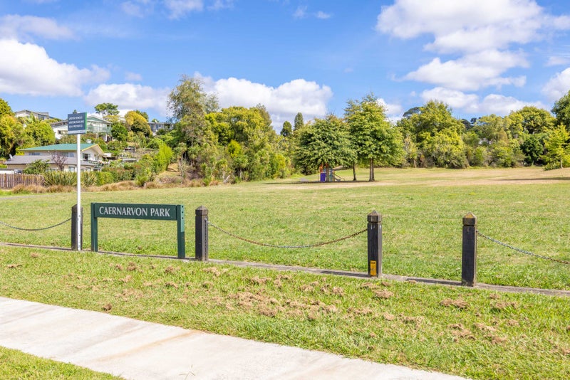 32 Caernarvon Street, Dinsdale, Hamilton - Carousel 21