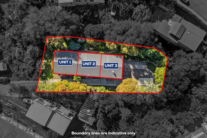 1208 New North Road, Mount Albert, Auckland - Carousel 1
