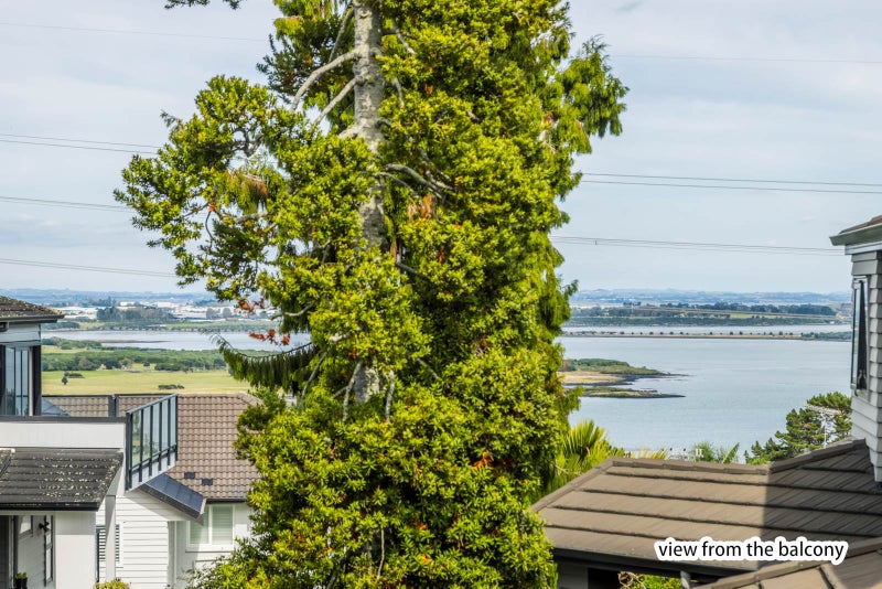 300A Hillsborough Road, Hillsborough, Auckland - Carousel 2