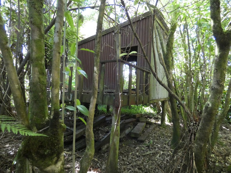 3 Rata Street, Karoro, Greymouth - Carousel 26