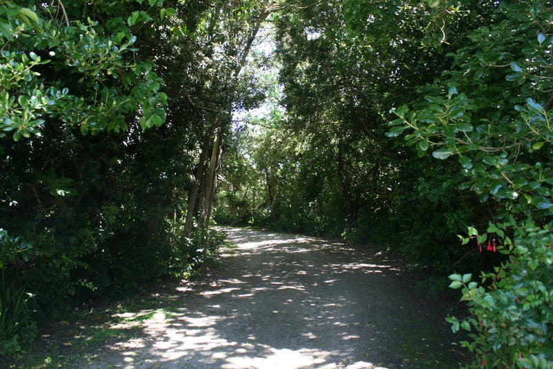 136 State Highway 3, Westmere, Whanganui - Carousel 20