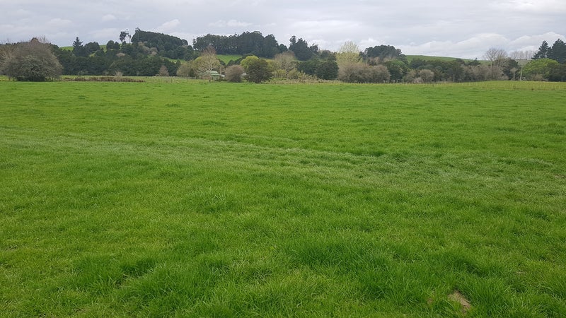 0 Kaipara Hills Road, Kaipara Flats, Warkworth - Carousel 2