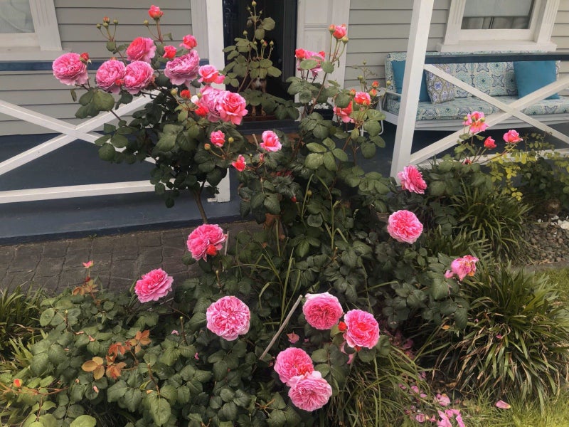 1/66 Verran Road, Birkdale, Auckland - Carousel 22