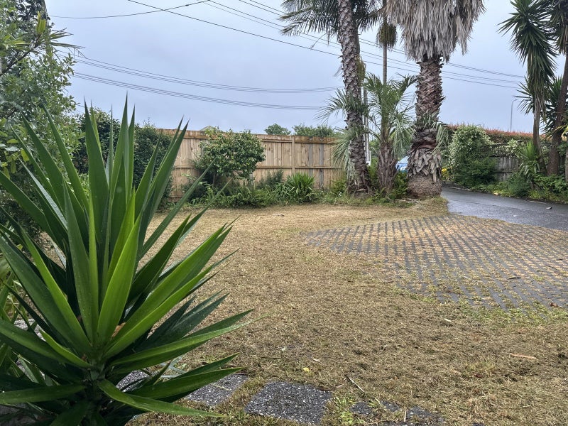 219 Mount Albert Road, Wesley, Auckland - Carousel 9