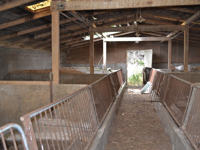 1398 Main North Road, Waikuku - Carousel 8