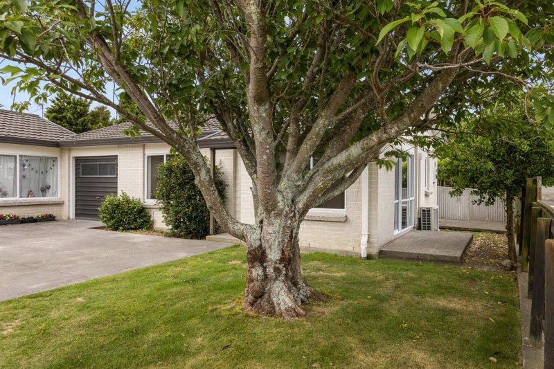 1/1400 Woodstock Avenue, Mayfair, Hastings, Hawke's Bay - Carousel 11