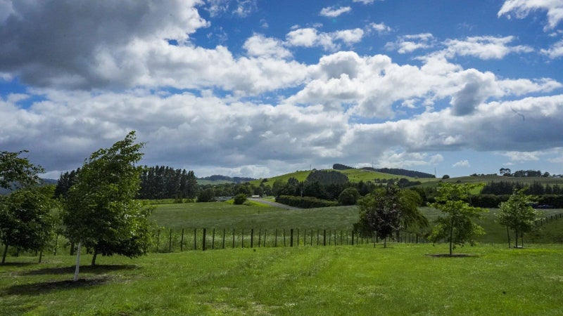 52A Homestead Road, Mangatāwhiri - Carousel 21
