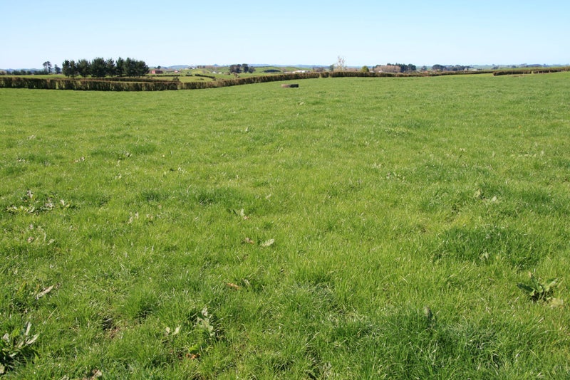 93A Climie Road, Ngaere, Stratford - Carousel 2