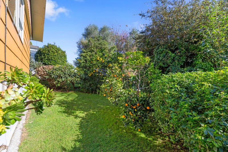 111 Hynds Road, Gate Pa, Tauranga - Carousel 19